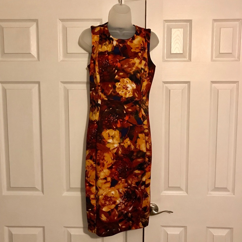 Multiple colored sheath dress